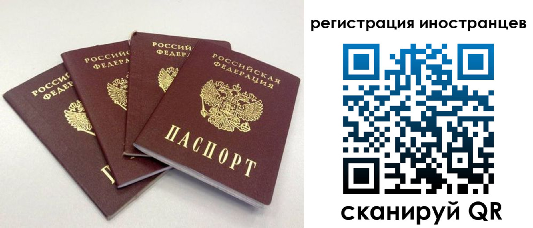 временная регистрация для школы в Калаче-на-Дону